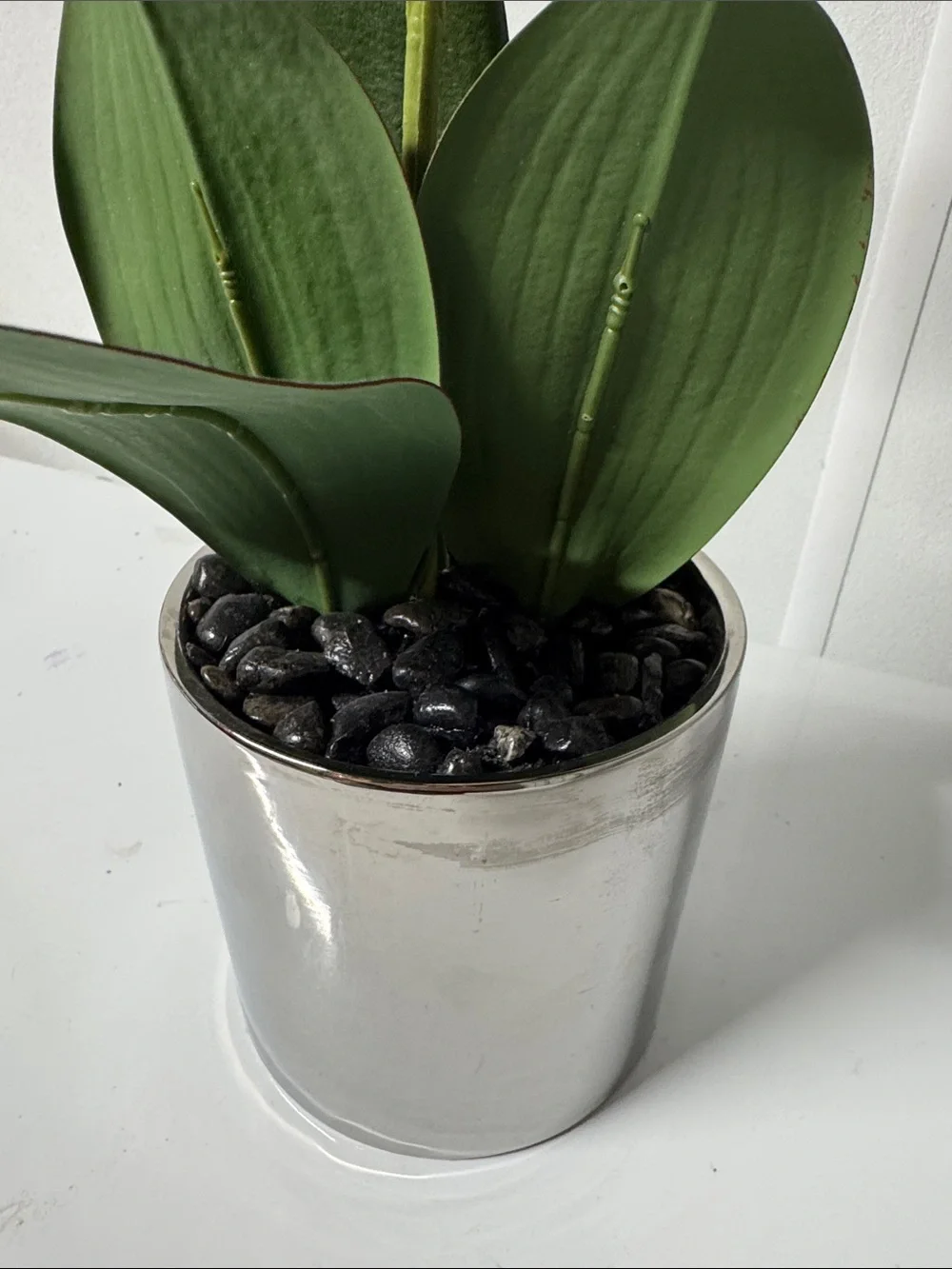 White Orchid Faux Plant in Silver Pot - Home Accents